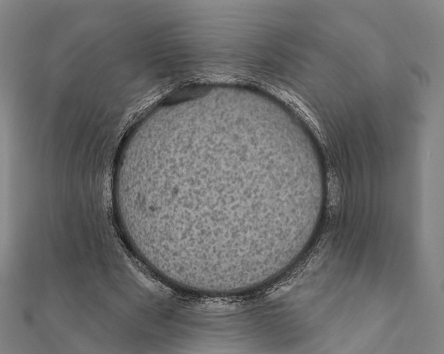 X0000111580489200908131322