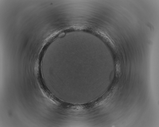 X0000111580492200908131322