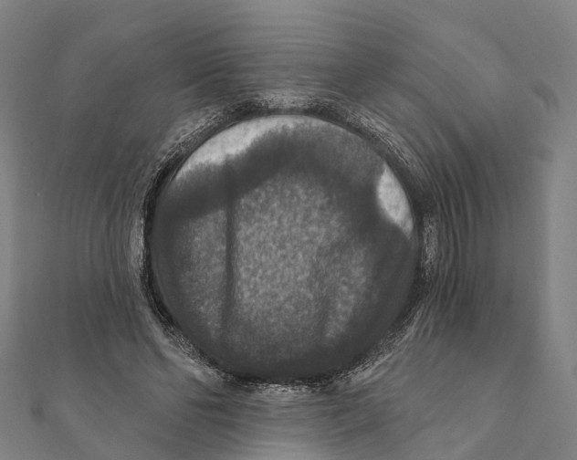 X0000111580494200908131322