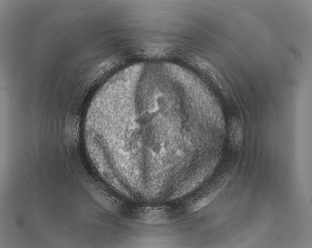 X0000111580495200908131322