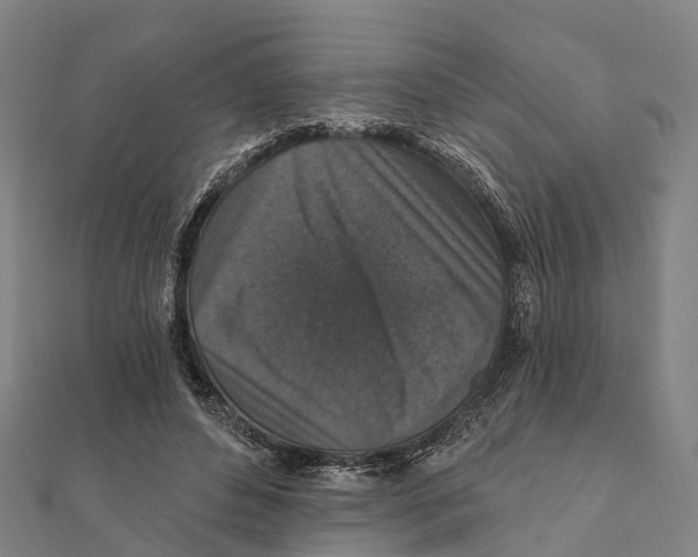 X0000111580496200908131322