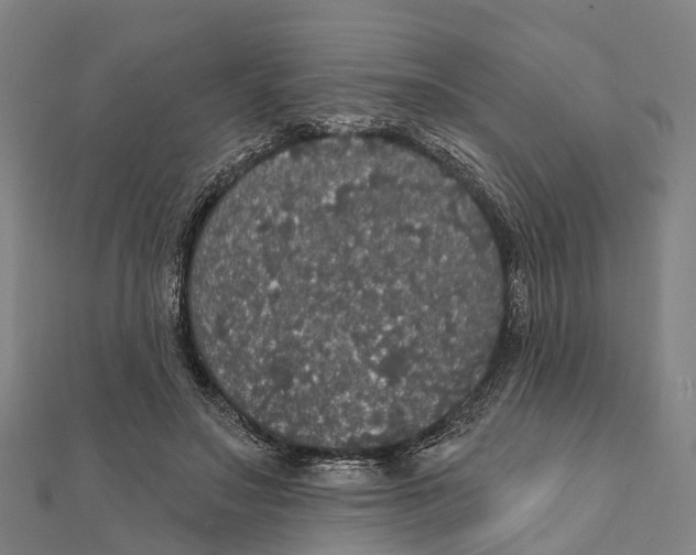 X0000111580499200908131322