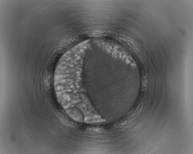 X0000111580503200908131322