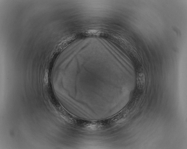 X0000111580504200908131322