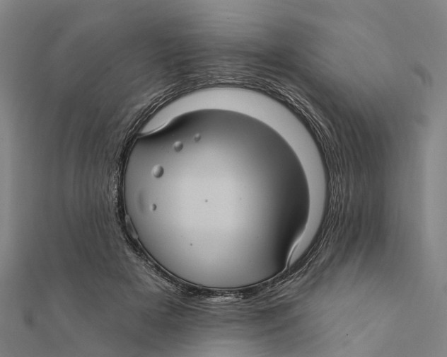 X0000111580505200908131322