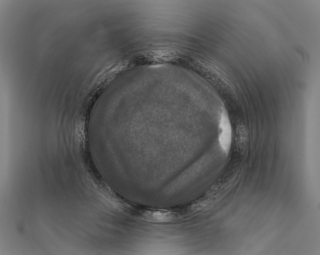 X0000111580506200908131322