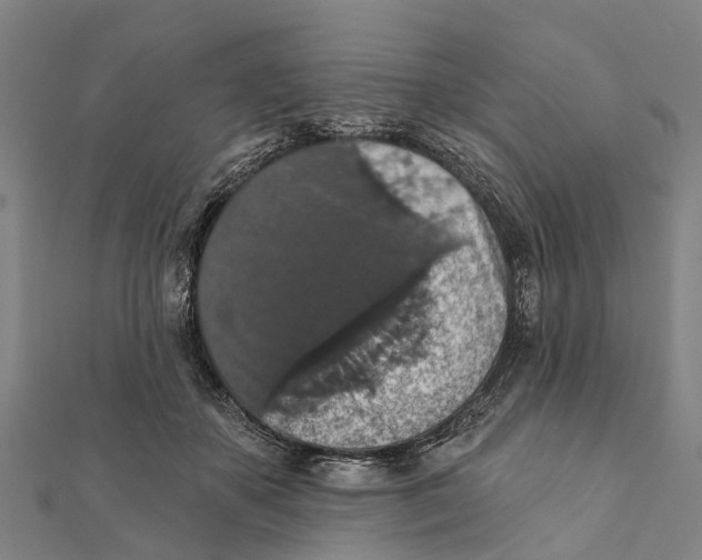 X0000111580507200908131322