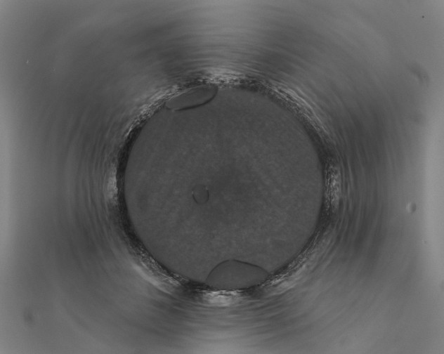 X0000111580508200908131322