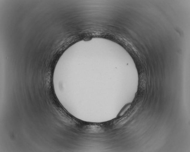 X0000111580509200908131322