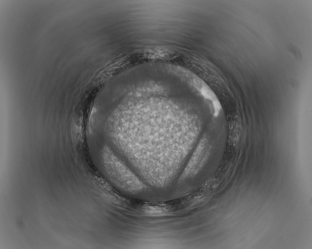 X0000111580510200908131322