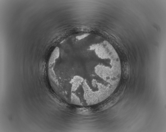 X0000111580511200908131322