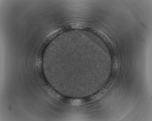 X0000111580513200908131322