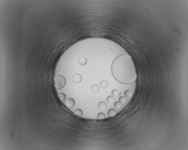 X0000111580515200908131321