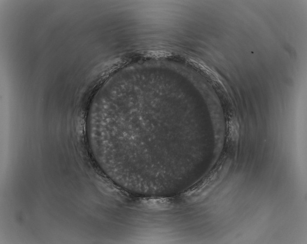 X0000111580517200908131321