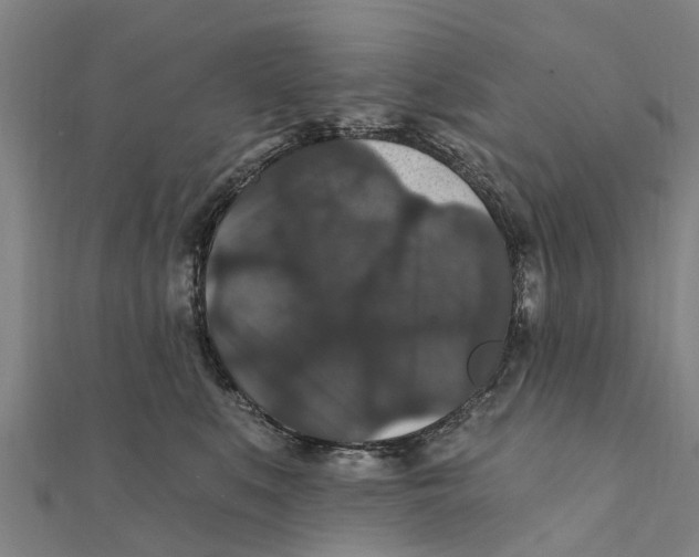 X0000111580519200908131321