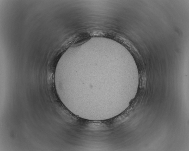 X0000111580521200908131321