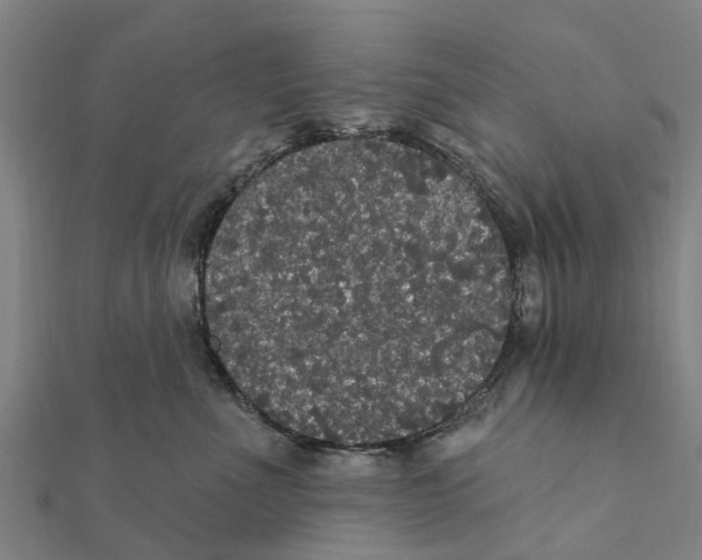 X0000111580523200908131321