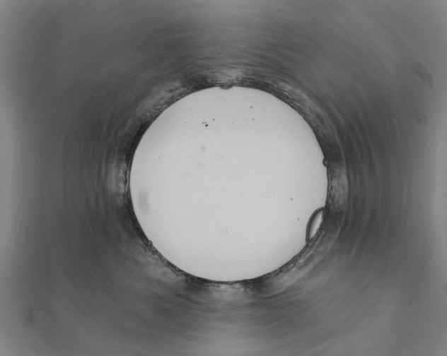 X0000111580525200908131321