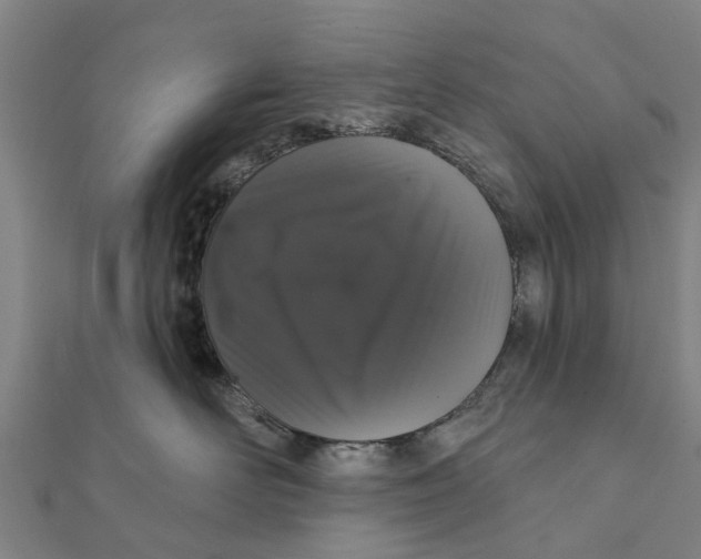 X0000111580526200908131321