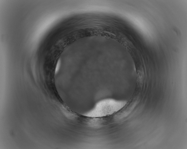 X0000111580527200908131321