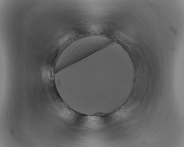 X0000111580528200908131321