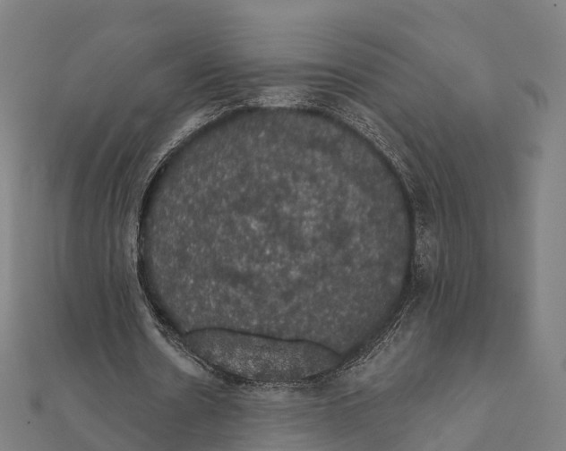 X0000111580530200908131321