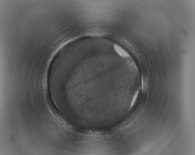 X0000111580531200908131321