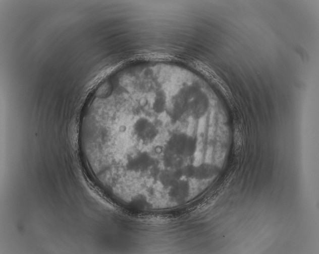 X0000111580533200908131321