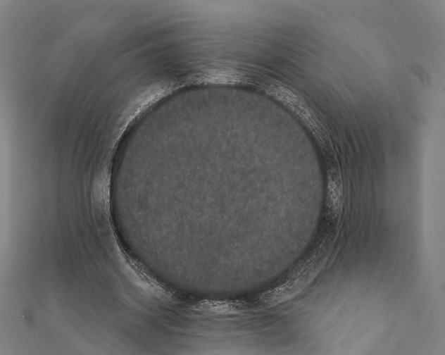 X0000111580534200908131321