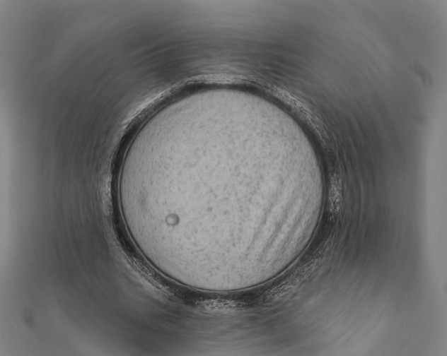 X0000111580535200908131321