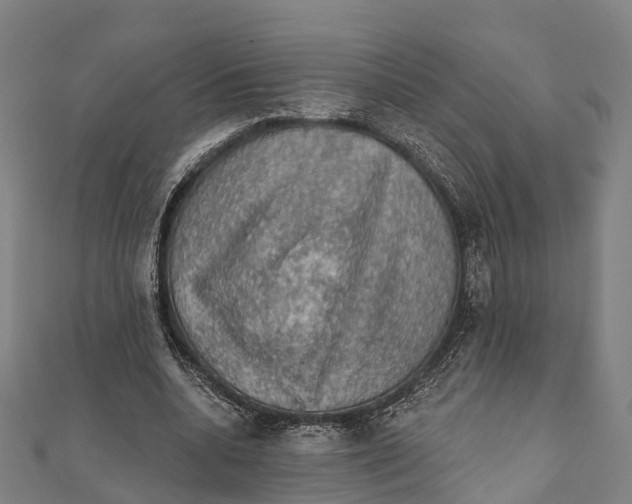 X0000111580536200908131321