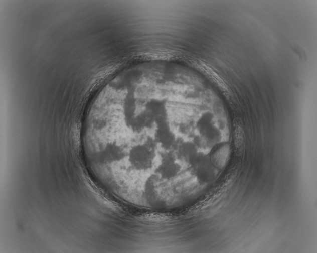 X0000111580537200908131321