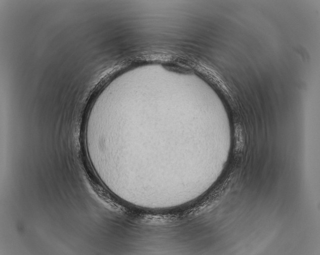 X0000111580538200908131321