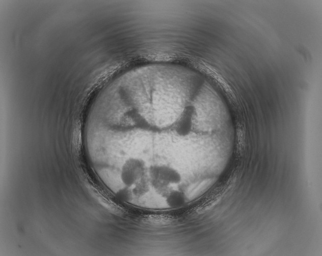 X0000111580541200908131321