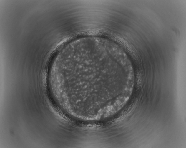 X0000111580542200908131321