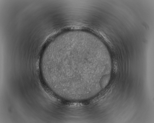 X0000111580543200908131321