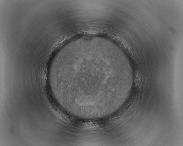 X0000111580544200908131321