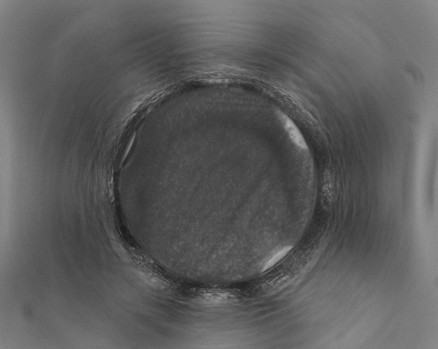 X0000111580547200908131321