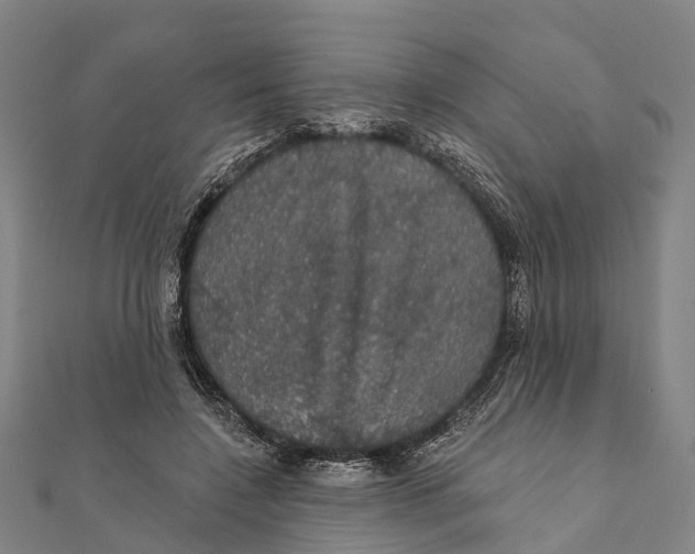 X0000111580548200908131321