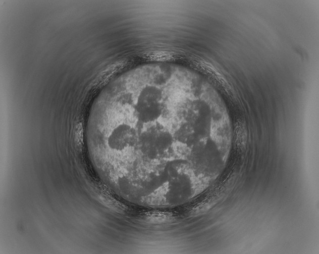 X0000111580549200908131321