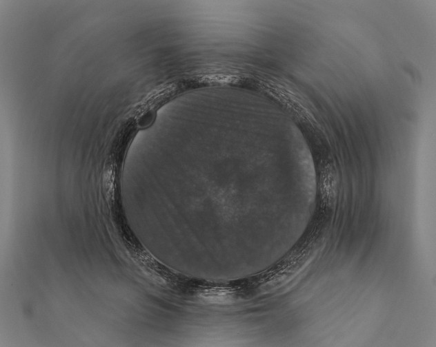 X0000111580551200908131321