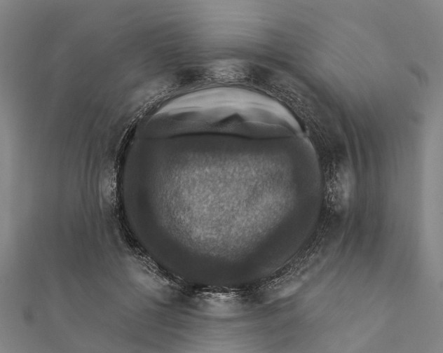 X0000111580552200908131321