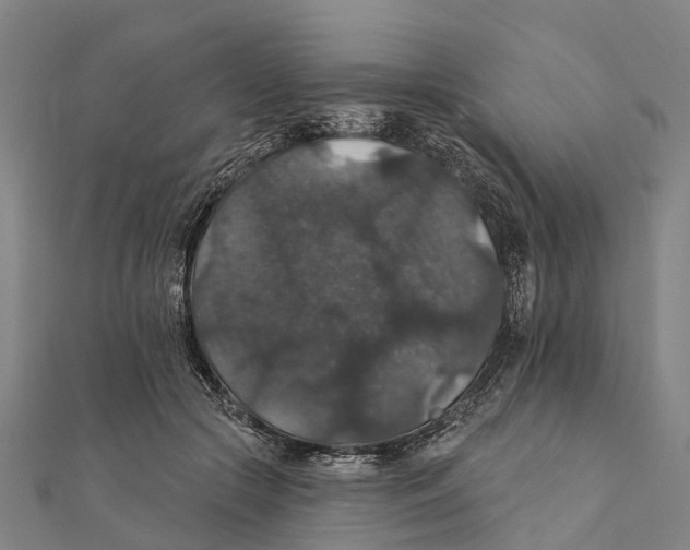 X0000111580553200908131321