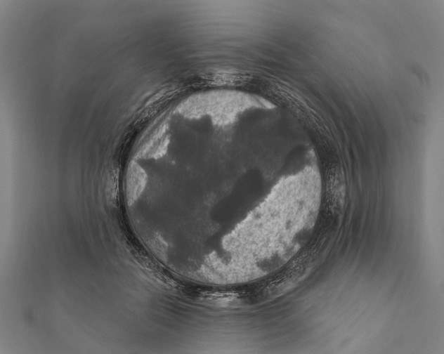 X0000111580554200908131321