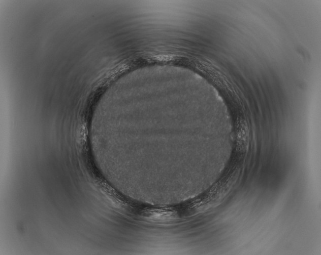 X0000111580555200908131321