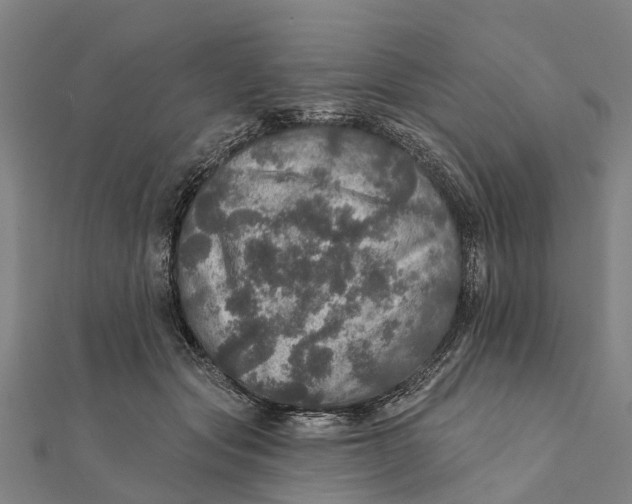 X0000111580557200908131321