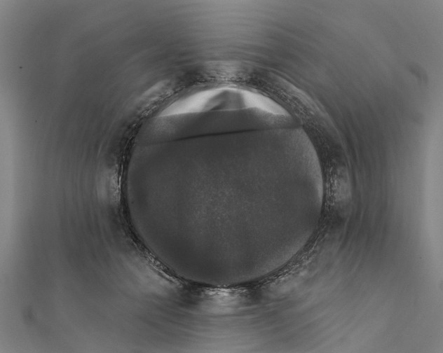 X0000111580558200908131321