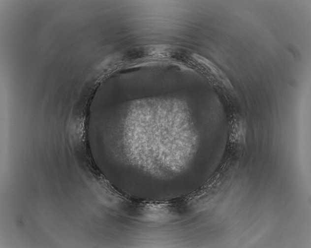 X0000111580560200908131321