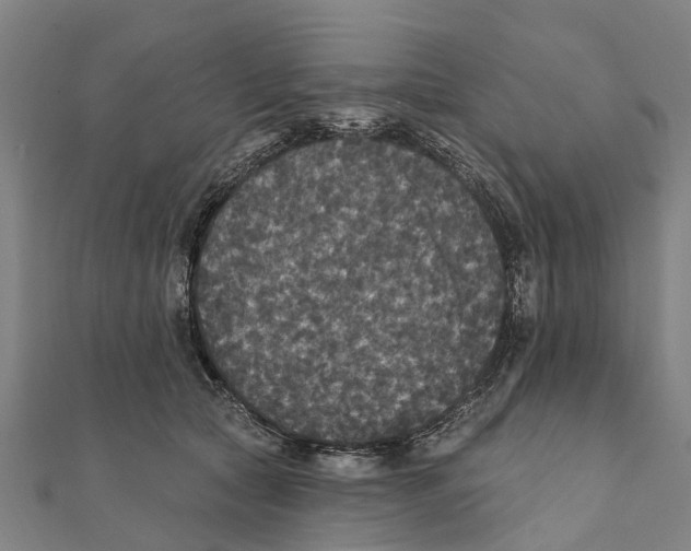 X0000111580561200908131321