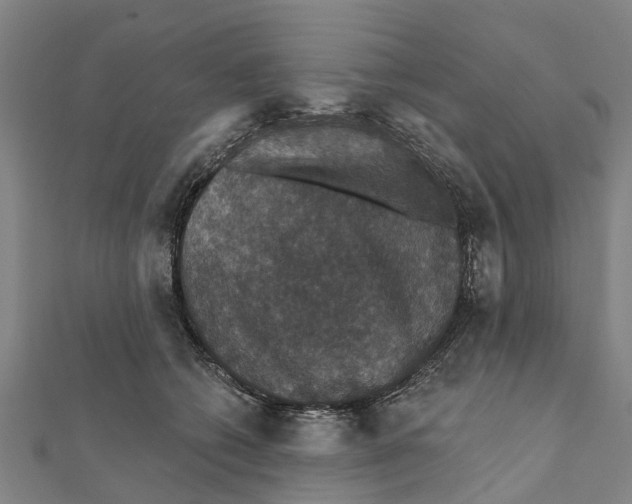 X0000111580562200908131321